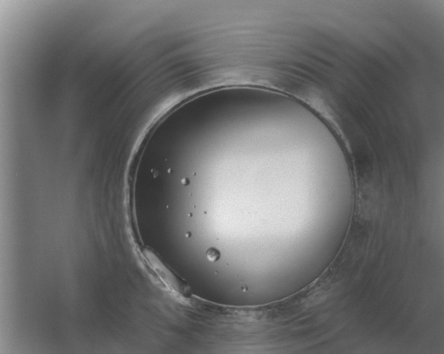 X0000059821096200511041713