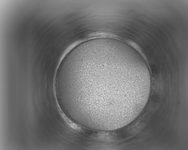 X0000059821098200511041713