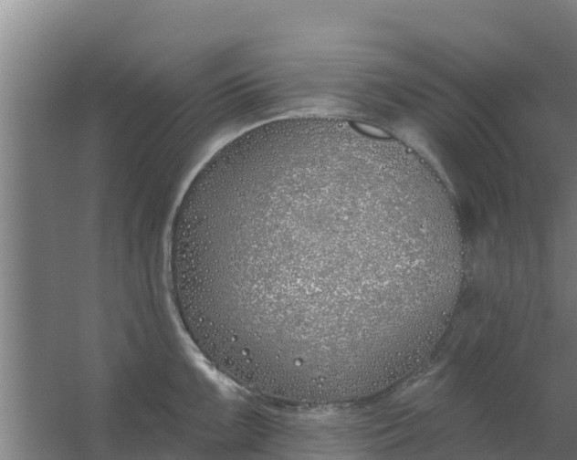 X0000059821099200511041713