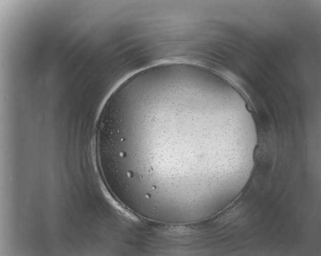 X0000059821100200511041713