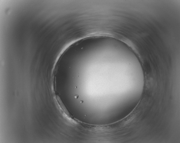 X0000059821102200511041713