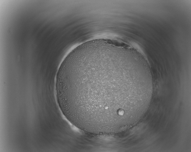 X0000059821103200511041713