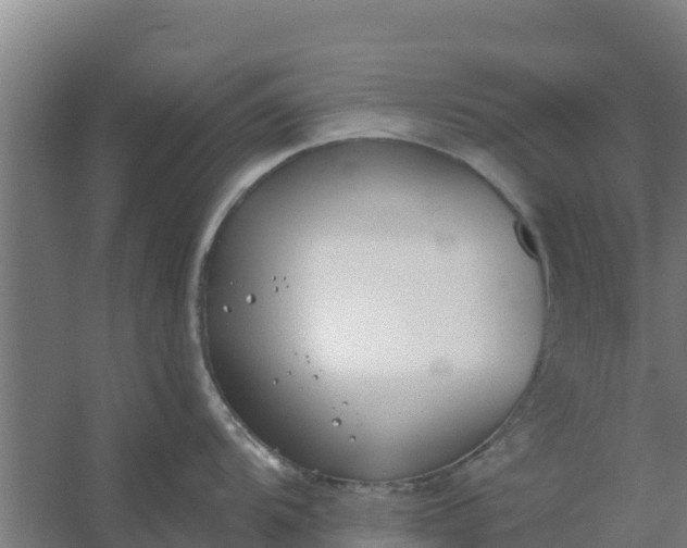 X0000059821104200511041713