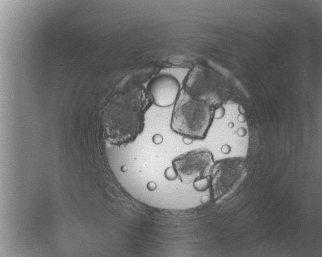 X0000059821105200511041712