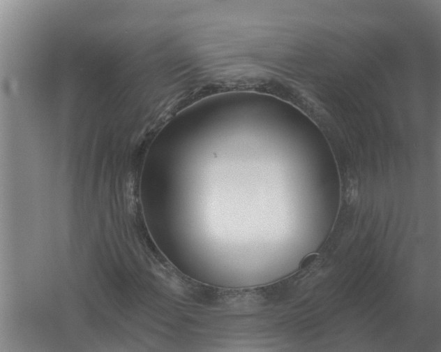 X0000059821108200511041712