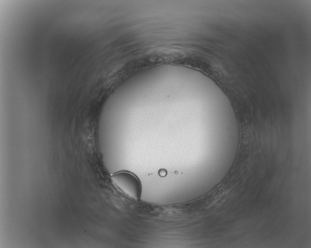 X0000059821109200511041712