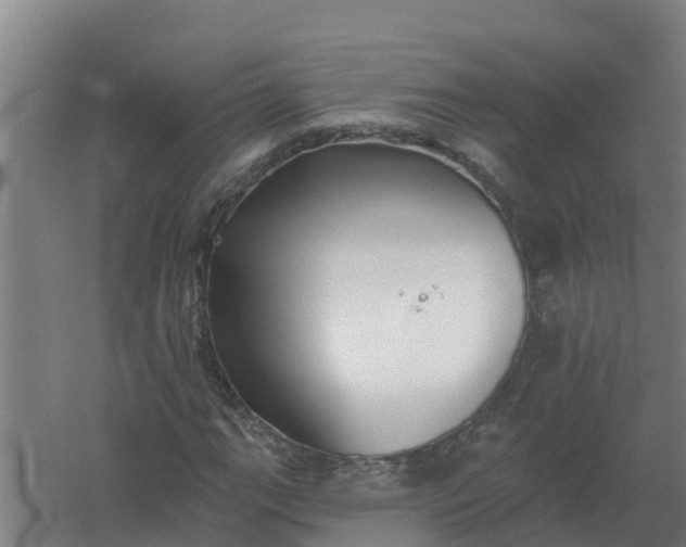 X0000059821111200511041712