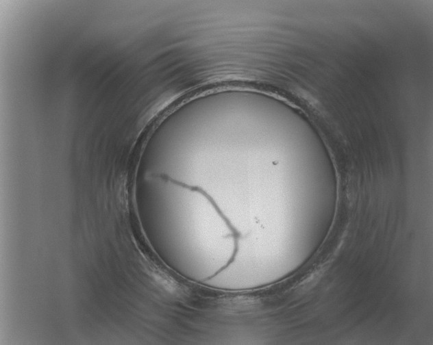 X0000059821113200511041712