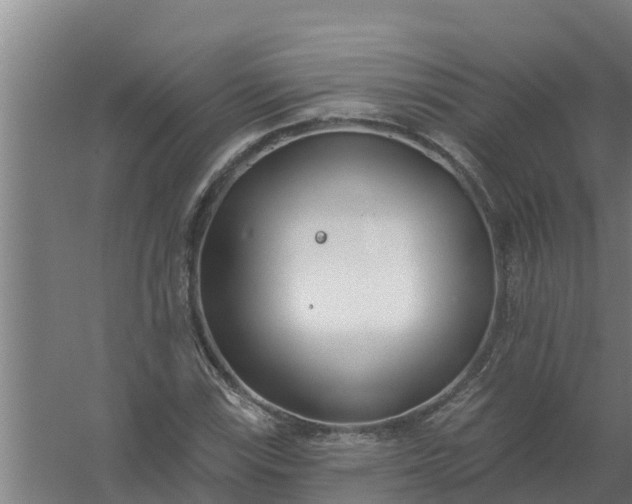 X0000059821115200511041712