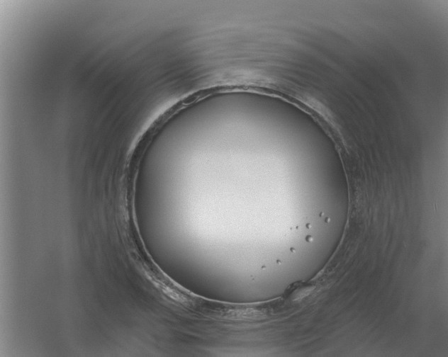 X0000059821120200511041712