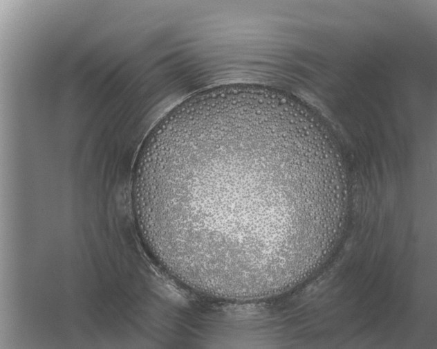 X0000059821121200511041712