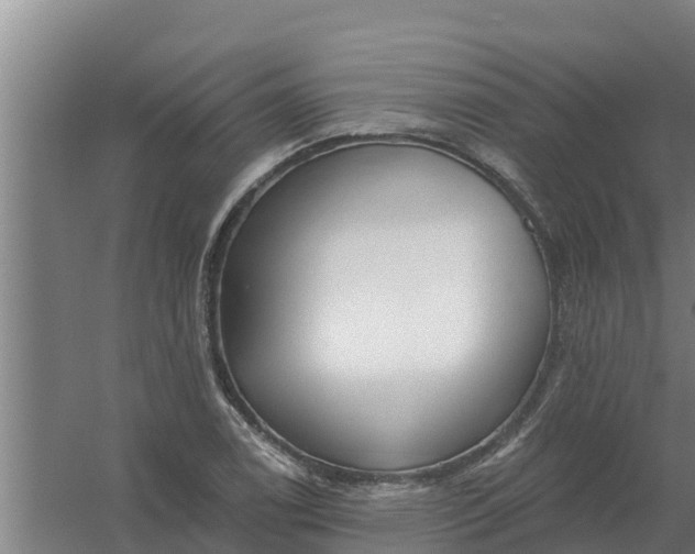 X0000059821122200511041712