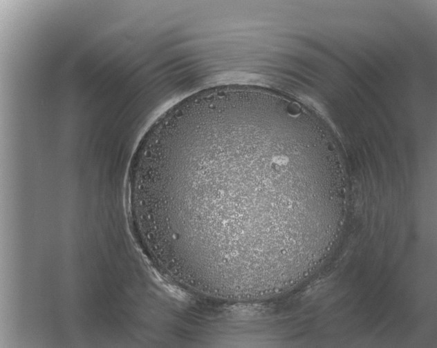 X0000059821125200511041712