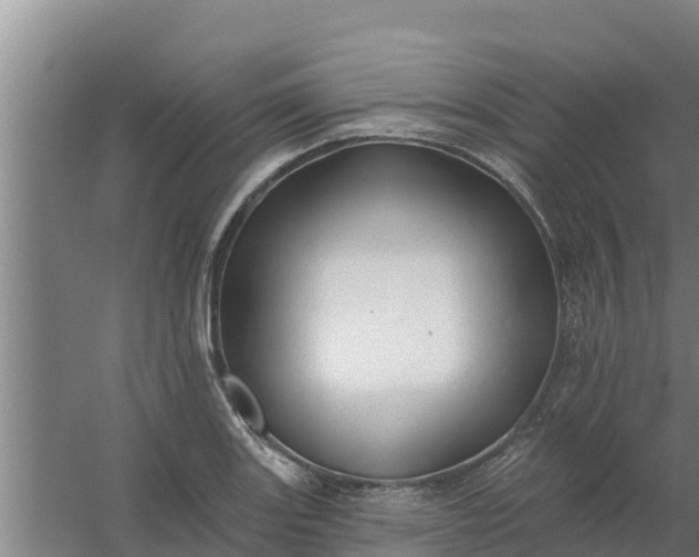 X0000059821131200511041713