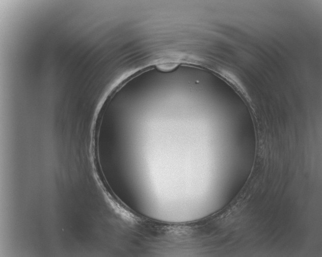 X0000059821136200511041713