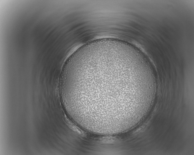 X0000059821137200511041713