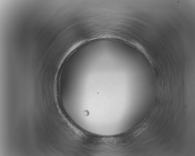 X0000059821142200511041713