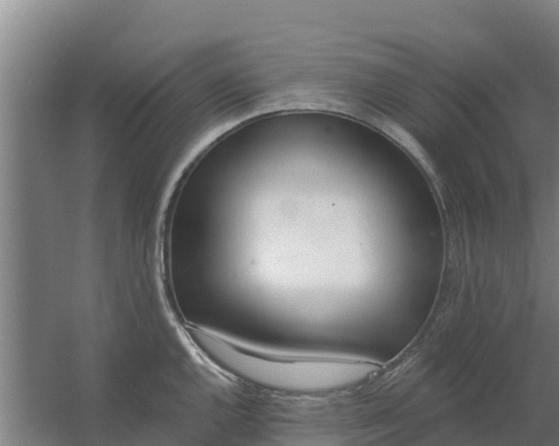 X0000059821144200511041713