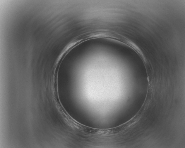 X0000059821146200511041713