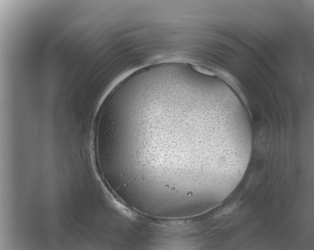 X0000059821149200511041713