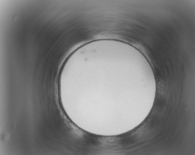 X0000059821150200511041713