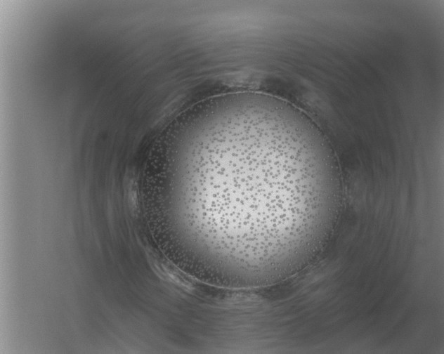 X0000059821154200511041712