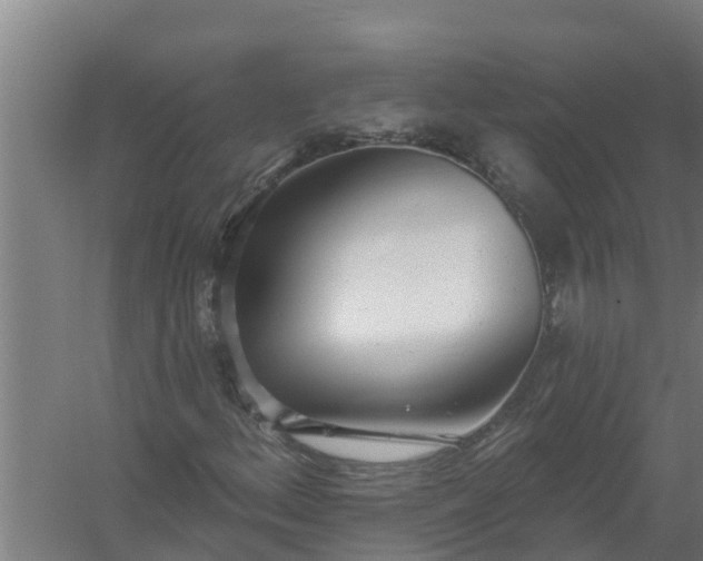 X0000059821156200511041712