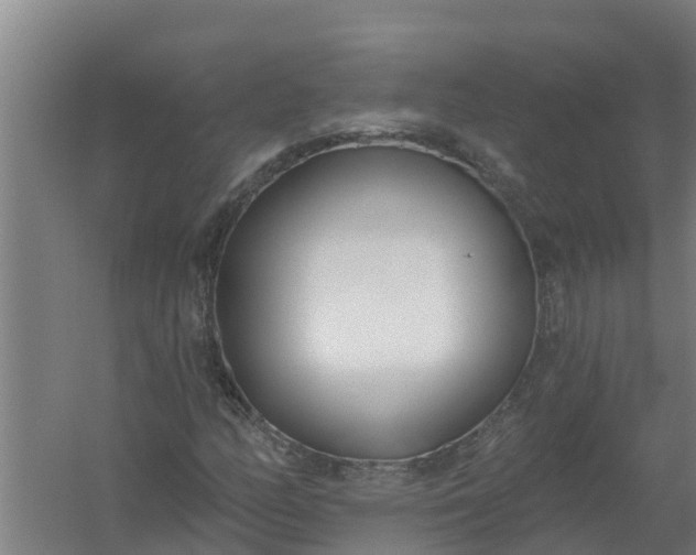 X0000059821158200511041712