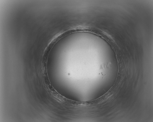 X0000059821160200511041712