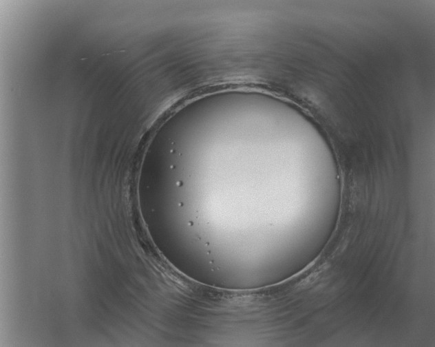 X0000059821162200511041712