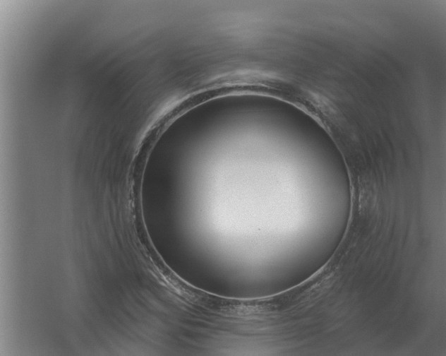 X0000059821164200511041712