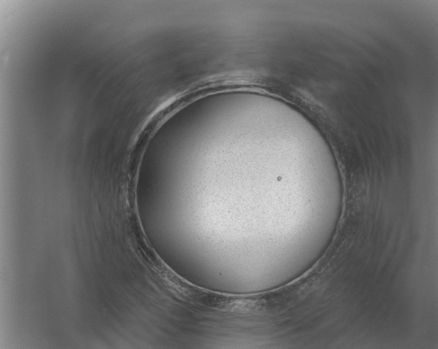 X0000059821166200511041712