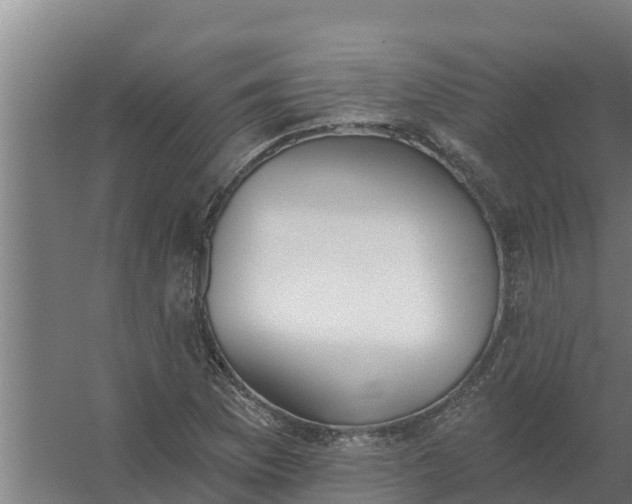 X0000059821169200511041712