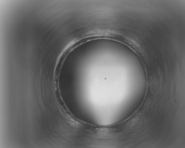 X0000059821172200511041712