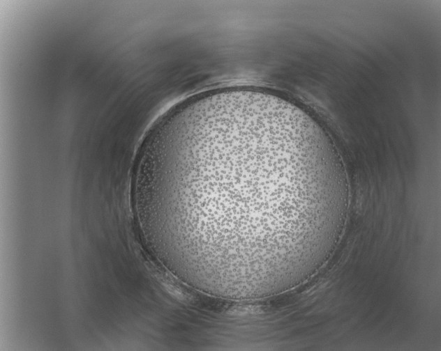 X0000059821174200511041712