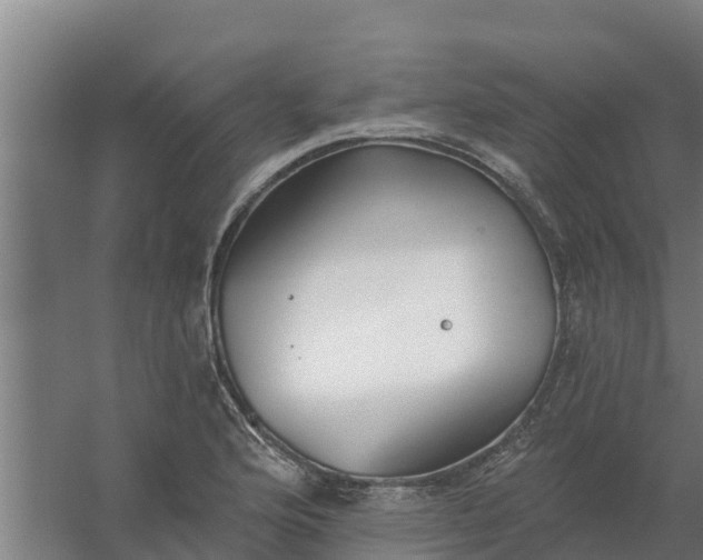 X0000059821176200511041712