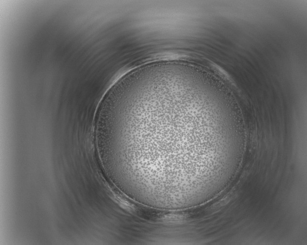 X0000059821178200511041712