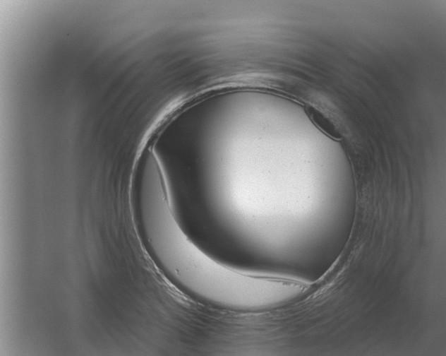 X0000059821180200511041712