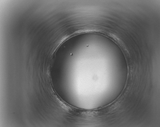 X0000059821185200511041712