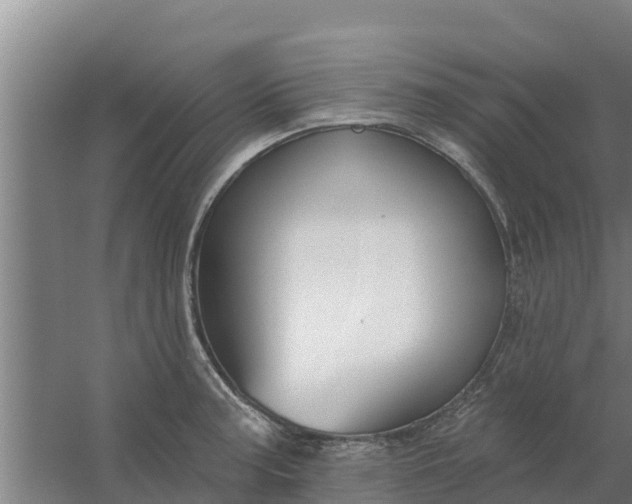 X0000059821187200511041711