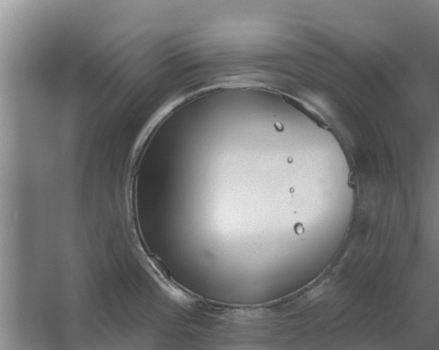 X0000059821196200511041711