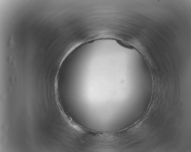 X0000059821198200511041711