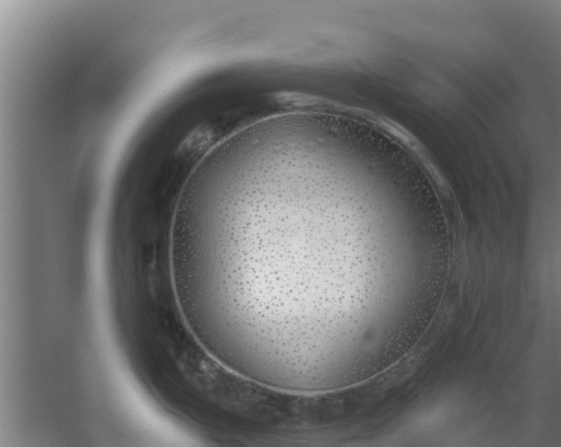 X0000059821199200511041711