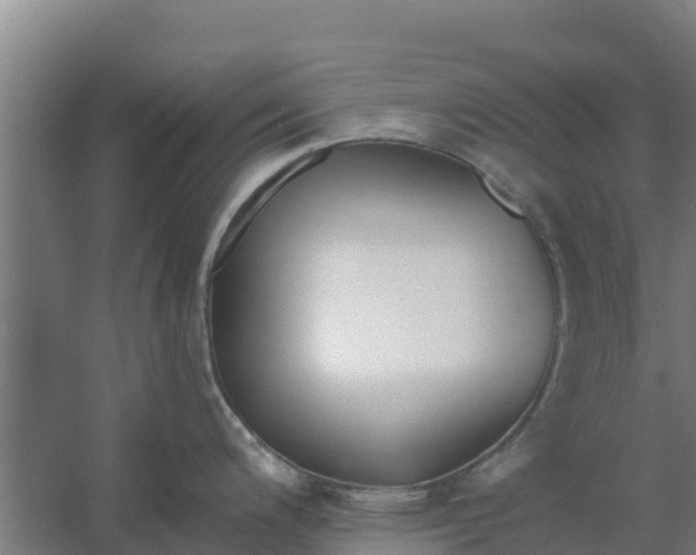 X0000059821200200511041711