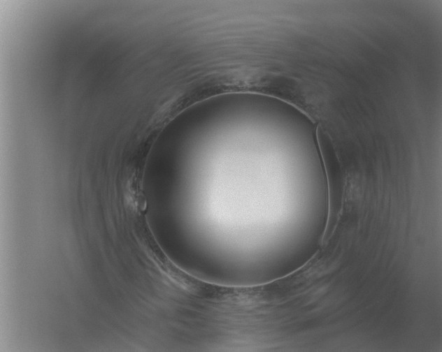 X0000059821202200511041710