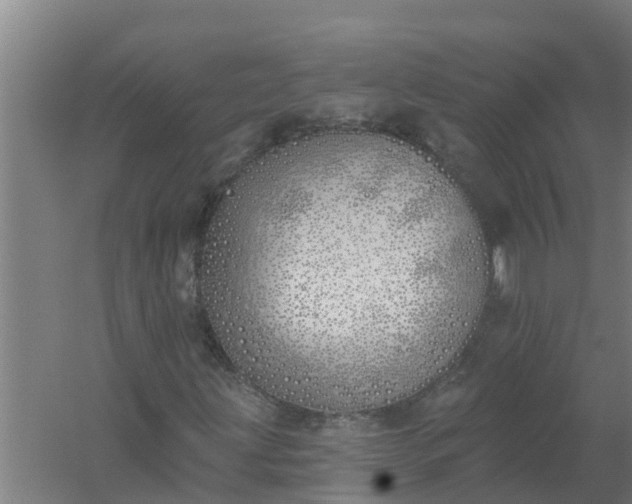 X0000059821203200511041710