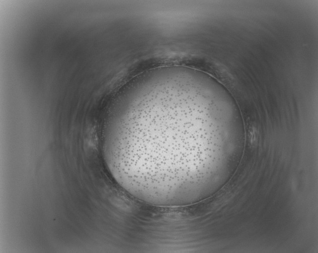 X0000059821204200511041710