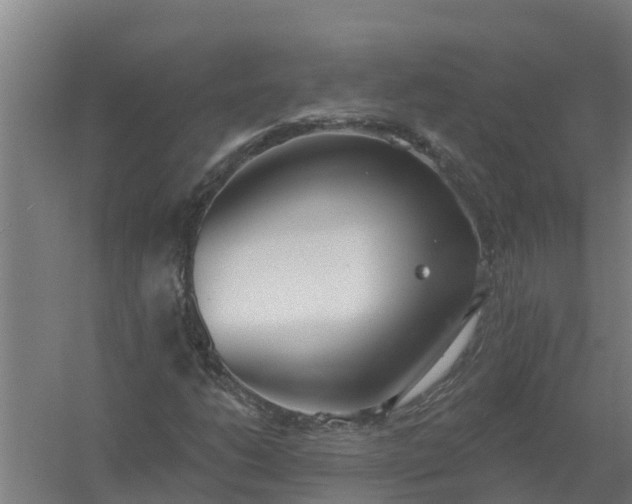 X0000059821206200511041711