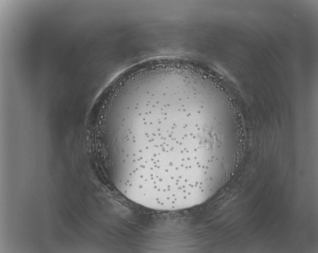 X0000059821208200511041711