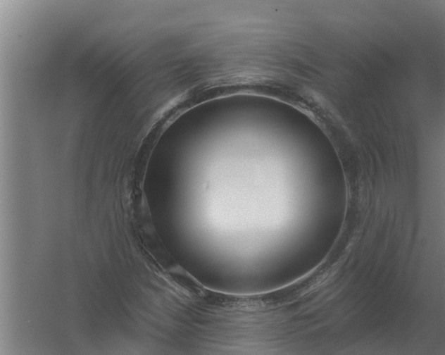 X0000059821210200511041711